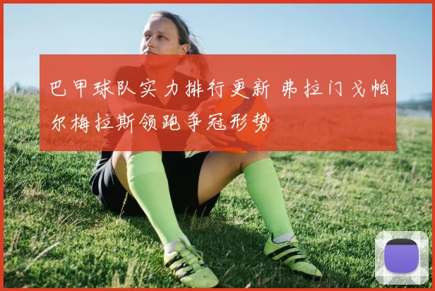 巴甲球队实力排行更新 弗拉门戈帕尔梅拉斯领跑争冠形势